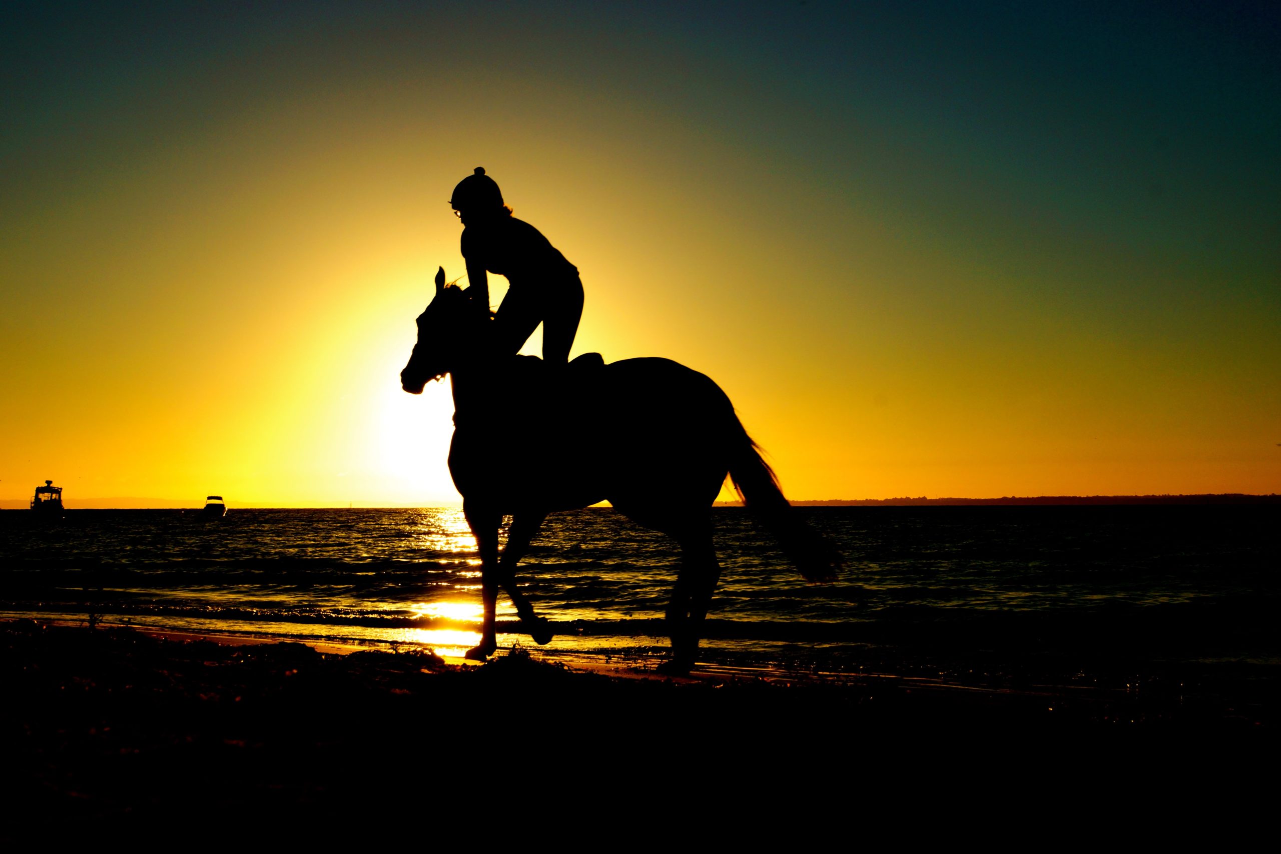 horseback rider silhouette riding on beach at sunset