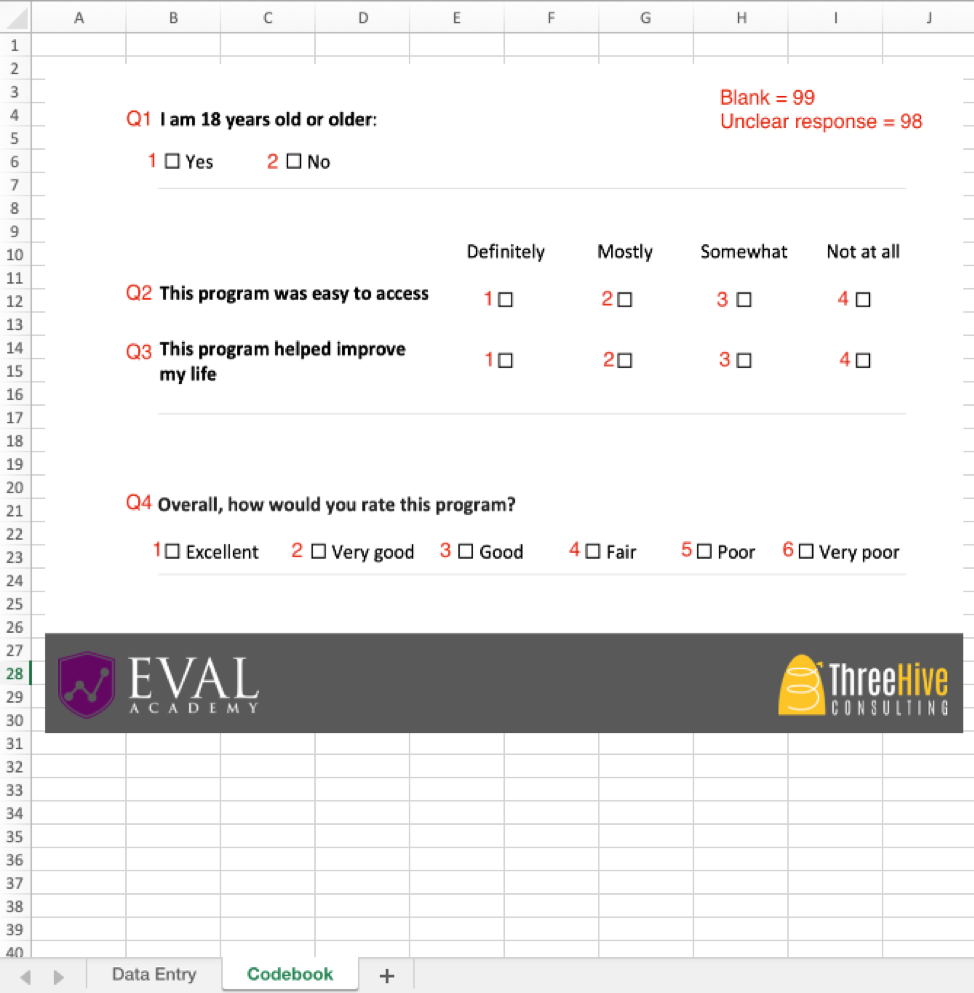 Example survey codebook