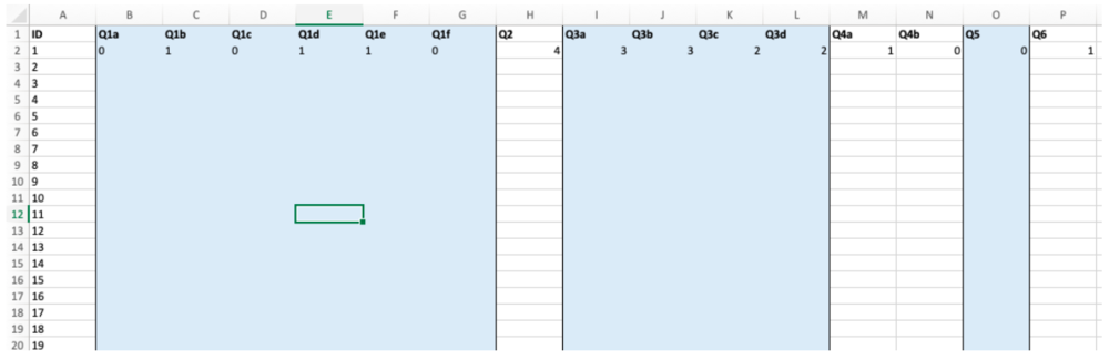 Excel spreadsheet using colours and borders to differentiate survey sections.