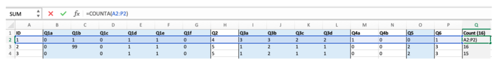 Excel spreadsheet using =COUNTA to ensure all questions have been filled with data.