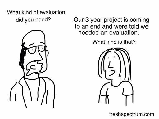 What kind of evaluation do you need cartoon by Chris Lysy