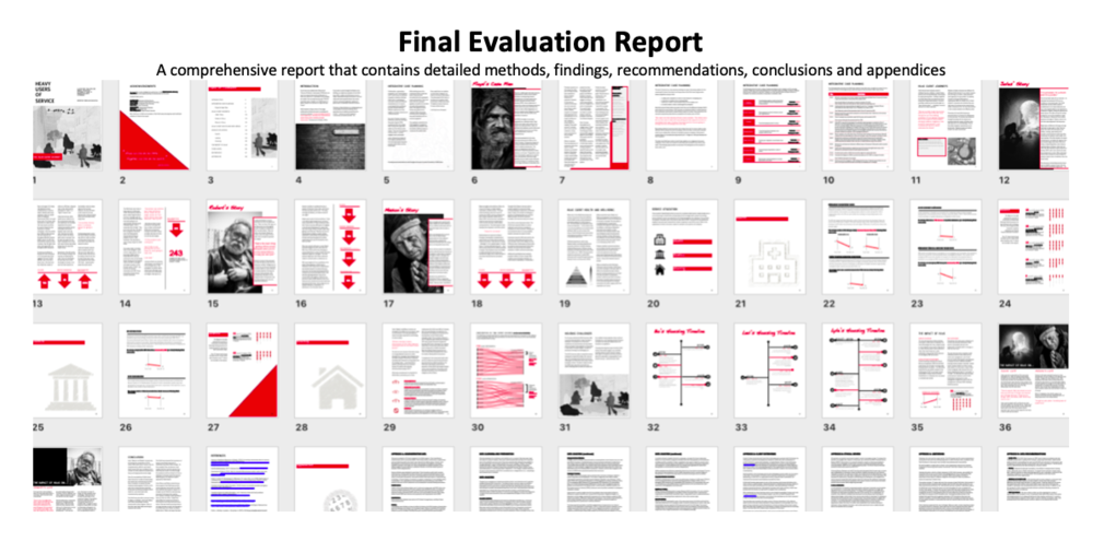 Final Evaluation Report:  A comprehensive report that contains detailed methods, findings, recommendations, conclusions and appendices