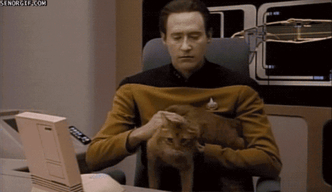 Star Trek Cat GIF by Cheezburger - Find & Share on GIPHY