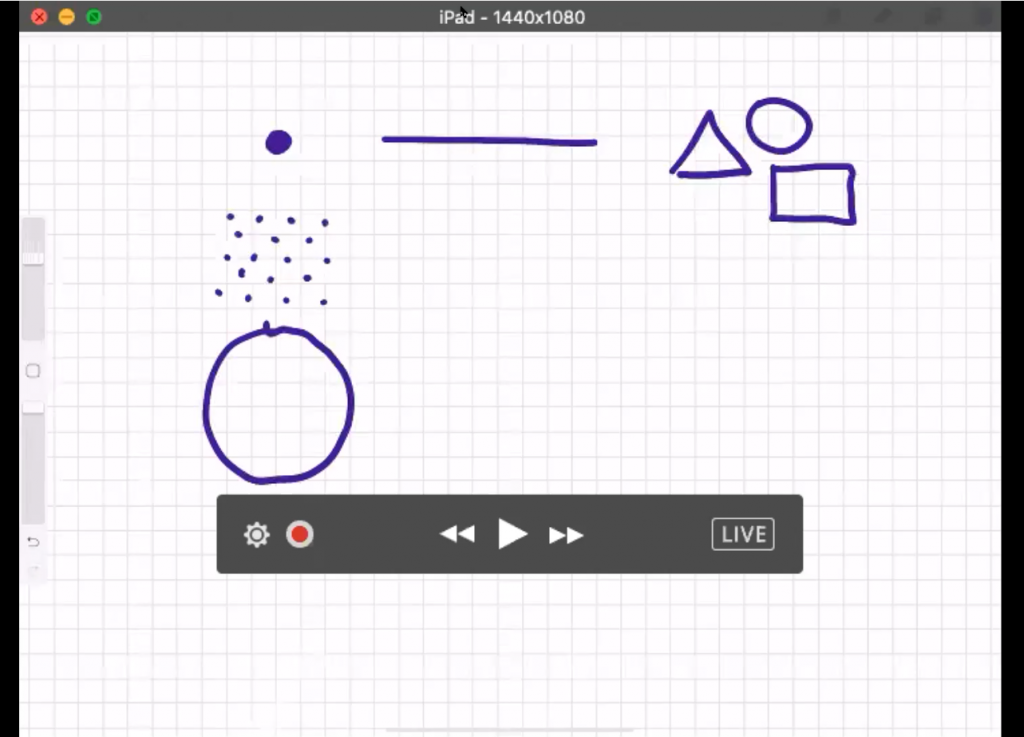 Emily Mills gave us an introduction to drawing and said that every single drawing can be condensed into three things:  a dot, a line and a shape.