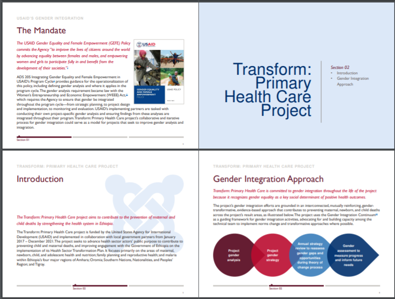 USAID TRANSFORM: Primary Health Care - Slidedoc. Screen shot of internal pages.