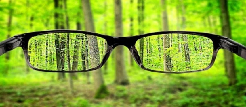 A black pair of glasses is in the foreground as if the viewer is about to put them on. There is a forest full of trees with green leaves in the background. Looking through the glasses lenses makes the forest in the background appear clear, while the forest looks blurry outside its frames. 